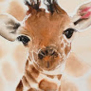 Meet your Posher, Jordyn